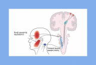 Disorders of Temporomandibular joint and depression