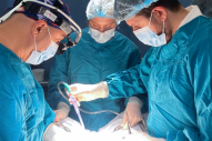 Training of foreign specialists in Nairi MC